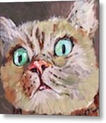 Cat What Do You See Metal Print