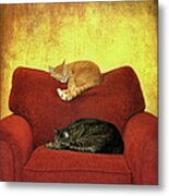 Cats Sleeping On Sofa Metal Print