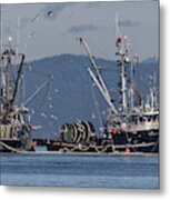 Cavalier Fisher Metal Print