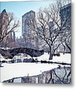 Central Park In Winter Metal Print
