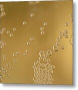 Champagne Bubbles Close Up Metal Print