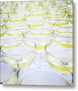 Champagne Poured And Waiting Metal Print