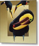 Chestnut-mandibled Toucans Metal Print