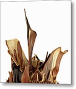 Chocolate And Caramel Colored Paint Metal Print