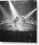 Circus Elephants Metal Print