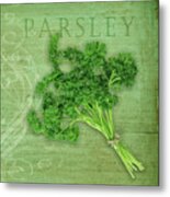 Classic Herbs Parsley Metal Print