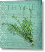 Classic Herbs Thyme Metal Print
