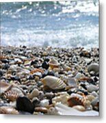 Close Up From A Beach Metal Print
