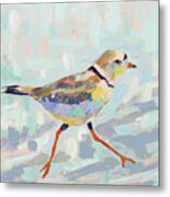 Coastal Plover I Neutral Metal Print