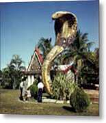 Cobra Statue In Florida Metal Print