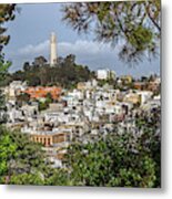 Coit Tower Through Trees Metal Print