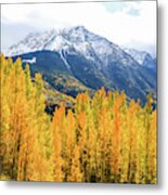 Colorado Aspens And Mountains 2 Metal Print