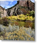 Colorado River Aspens In Color Metal Print