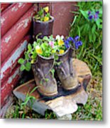 Colorado Vase Metal Print