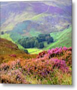 Colorful Autumn In Wicklow. Levels Metal Print