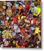 Colorful Autumn Leaves Metal Print