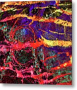 Colorful Bark 13 Metal Print