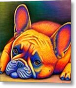 Daydreamer - Colorful French Bulldog Metal Print