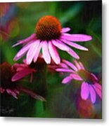 Coneflower Says Can You See Me Now? Metal Print