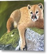 Confidence Metal Print