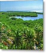 Contoy Island Metal Print