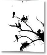 Cormorant's In Silhouette Metal Print