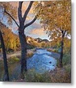 Cottonwoods Along The Rio Grande, Wild Rivers Recreation Area, New Mexico Metal Print