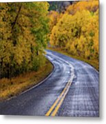 Country Travels Metal Print