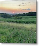 Country View Metal Print