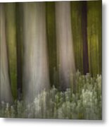 Cow Parsley In The Forest Metal Print