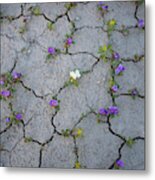 Cracked Metal Print