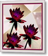 Cranberry Water Lilies Metal Print