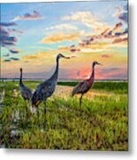 Cranes At Sunset Metal Print