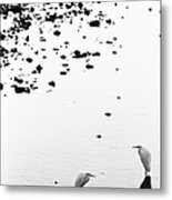 Cranes Metal Print