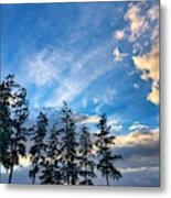 Crisp Skies Metal Print