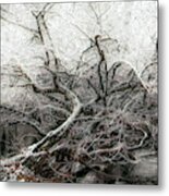 Crown Of Ice Metal Print