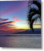 Cruising Metal Print