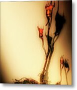 Cultivation Of Bulbs Metal Print