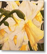 Daffodil Abstraction Metal Print