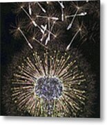 Dandelion Clock As Artwork Metal Print