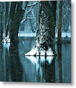 Dark Forest Reflections Metal Print