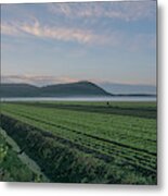 Dawn And Fog Over The Farmland Metal Print