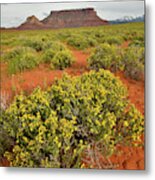 Desert Blooming In Castle Valley Utah Metal Print