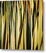 Desert Grasses I Metal Print
