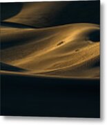 Desert Impression Metal Print