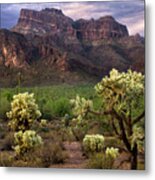 Desert Mountains And Cactus Metal Print