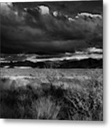 Arizona Desert Black And White Metal Print