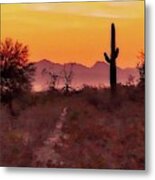 Desert Sunrise Trail Metal Print