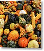 Different Types Of Fall Squash Metal Print