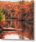 Digial Paint Of Birch Pond Metal Print